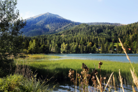 Ein idyllischer blauer See, umgeben von grünen Wäldern und Bergen