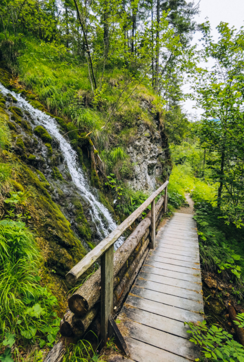 Holzsteg über einen kleinen Wasserfall inmitten üppiger Vegetation